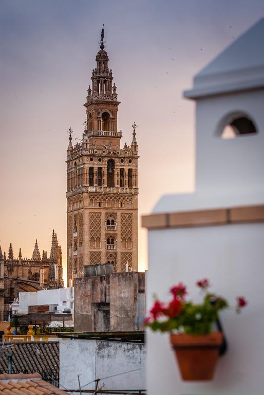 Apartamentos Las Cruces Sevilla Dış mekan fotoğraf